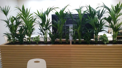 Western Planters L.L.C - Dubai - +971 50 676 7784