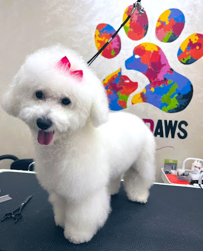 Pet Paws - United Arab Emirates|Al Danah - Zone 1 - Abu Dhabi|34 Al Falah St