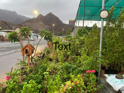 Shayan flowers and landscaping masafi rak - Ras al Khaimah - +971 55 787 7507