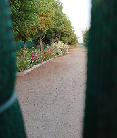 Plants Nursery - Ras al Khaimah -