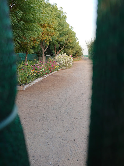Plants Nursery - United Arab Emirates|Sharjah|E55