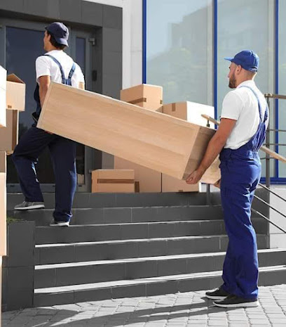 wadi Al Safa Movers LLC - Fujairah - +971 55 494 8467