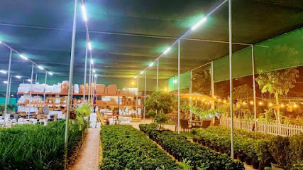 Fine City Plant Nursery Warsan | BUY Indoor & Outdoor Plants - Dubai - +971 55 209 0100