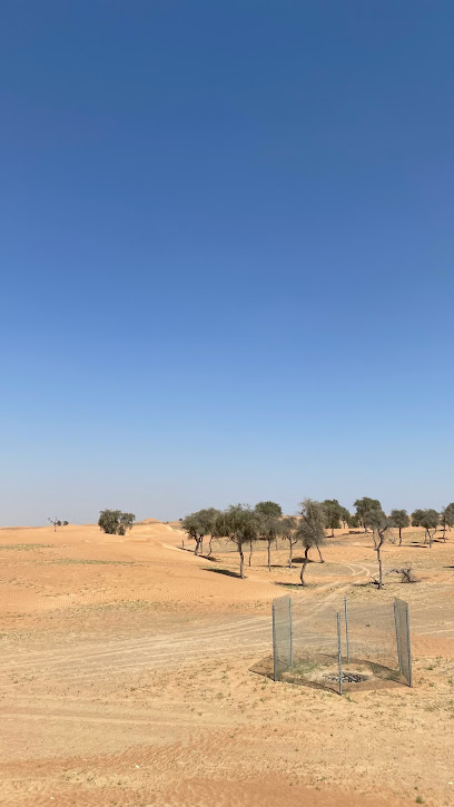طوي المالحه - United Arab Emirates|Sharjah|6VHC+P5