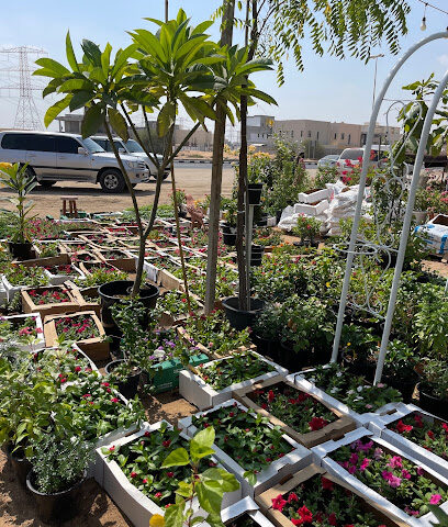 Awaht Al Wrood Plants Nursery - Ras al Khaimah - +971 55 667 3383