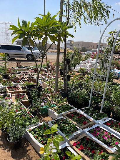 Awaht Al Wrood Plants Nursery - United Arab Emirates|Helio 2 - Ajman|Sheikh Zayed St