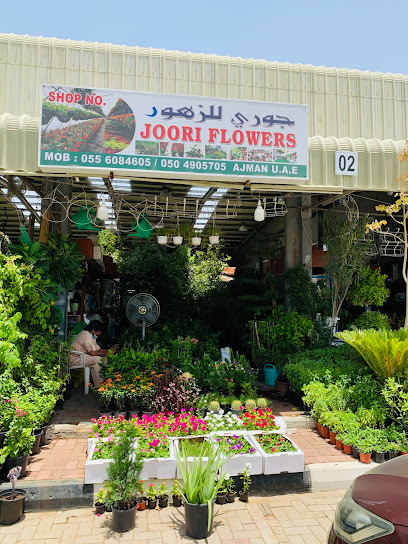 Joori flowers - United Arab Emirates|Ajman|Unnamed Road|9FRH+PC2