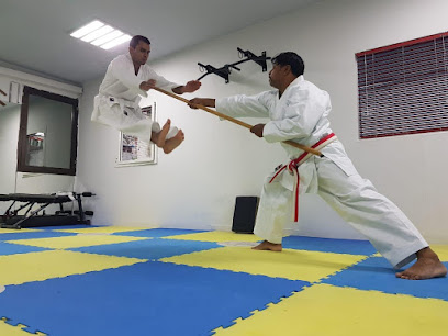 Okinawa Karate Club - Dubai - +971 50 672 2635