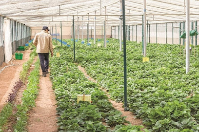 Mawasim Organic مواسم للمنتجات العضوية - Fujairah - +971 2 554 4038