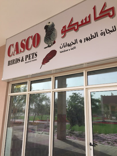 Casco Birds & Pets - United Arab Emirates|Warsan 3 - Dubai|4FW6+956