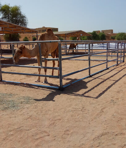Emirates Camel Laboratory New - Dubai -