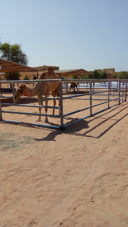 Emirates Camel Laboratory New - United Arab Emirates|Ghara - Umm Al Quwain|FPM7+G9V