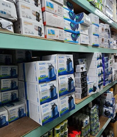 B&K PET Shop - Ras al Khaimah - +971 58 501 0510