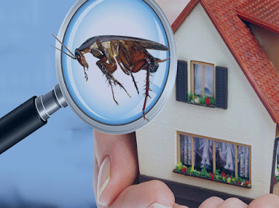 Bright and Rise Properties & Pest Contol ( Pest Control, Anti Termite, Disinfection and Cleaning) - Ras al Khaimah - +971 56 751 2795