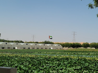 Emirates Bio Farm مزرعة الامارات البيولوجية - Fujairah - +971 3 783 8422