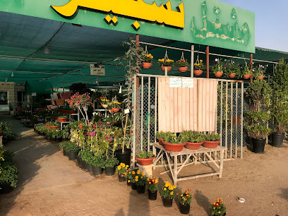 Tashjeer Nursery(plant shop) - Ras al Khaimah - +971 58 588 3444