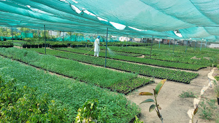 Al MANDHOOR GROUP - Dubai - +971 6 748 0229