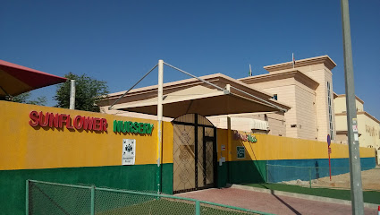 Sunflower Nursery - Dubai - +971 3 766 0297