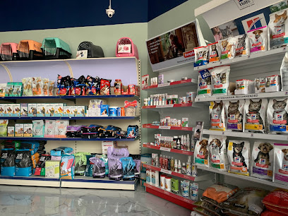 Adore Love Pamper - Pet Caring and Grooming Services in Dubai - Ras al Khaimah - +971 58 565 8341