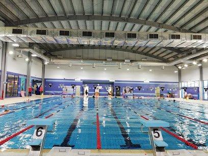 Cleopatra Swimming Academy - Oud Metha - Dubai - +971 58 668 9287