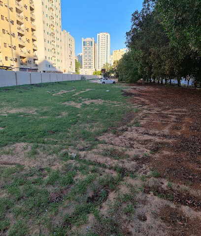 Prime Tower - Dubai - +971 6 559 0000