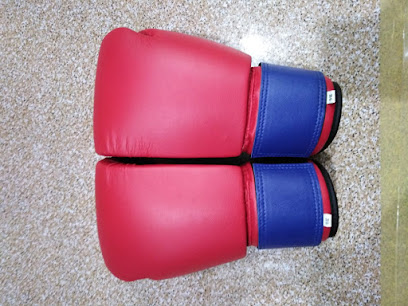 UAE Wrestling & Judo Federation - Dubai - +971 2 443 0022