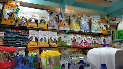 Al Mushrif Aquarium Fish Trading - Ras al Khaimah - +971 55 532 9689