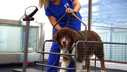 Dogventure HQ - Ras al Khaimah - +971 4 702 6999
