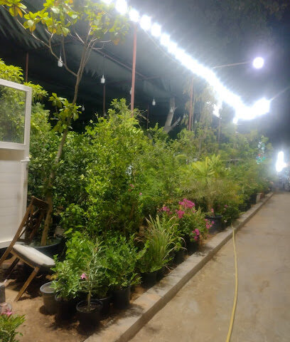 BERAM AL WADI FLOWERS L.LC - Ras al Khaimah - +971 55 881 5482