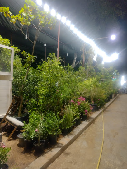 BERAM AL WADI FLOWERS L.LC - United Arab Emirates|Masafi Town - Ras al Khaimah|85H9+65Q