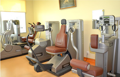 Physiotherapy - Ras al Khaimah - +971 4 344 0250