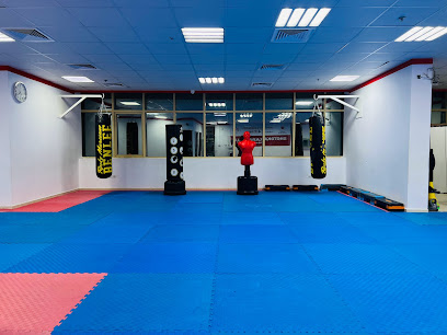 Kickboxing Pro Club, Al Nahda-2, Dubai - Dubai - +971 58 858 3703