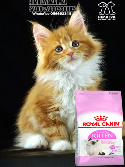 Himalaya Pet Salon & Pet Accessories Shop - United Arab Emirates|Al Hisn - W4 - Abu Dhabi|Khalidiyah St
