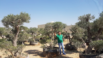 LEONARDO LAPIETRA NURSERY LLC - Ras al Khaimah - +971 50 113 5910