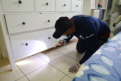 AL Rasa Pest Control & Cleaning - Abu Dhabi - Ras al Khaimah - +971 50 805 8017