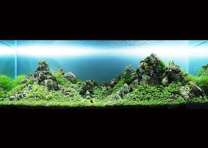 Nature Aquarium - Ras al Khaimah - +971 56 210 0317
