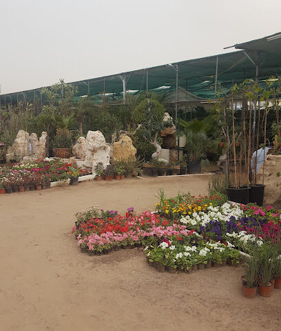 Gulf Gardens nursery - Ras al Khaimah -