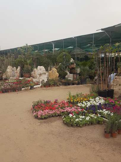 Gulf Gardens nursery - United Arab Emirates|Warsan 3 - Dubai|1 Dina Home St