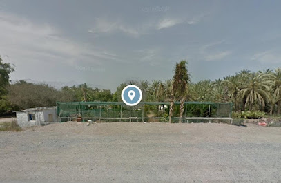 Abu Ali Nursery Sales - Ras al Khaimah - +971 50 212 2402