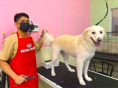 Paws and Whiskers Pets Nursery - Ras al Khaimah - +971 4 321 8667