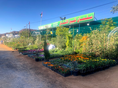 Salman Nursery LLC - Dubai - +971 55 532 2953