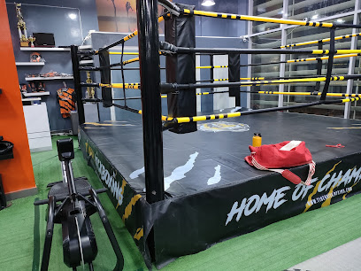 Tiger Kickboxing - Dubai - +971 50 547 1412