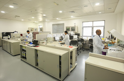 SRL Diagnostics- Dubai - Fujairah - +971 4 448 3100