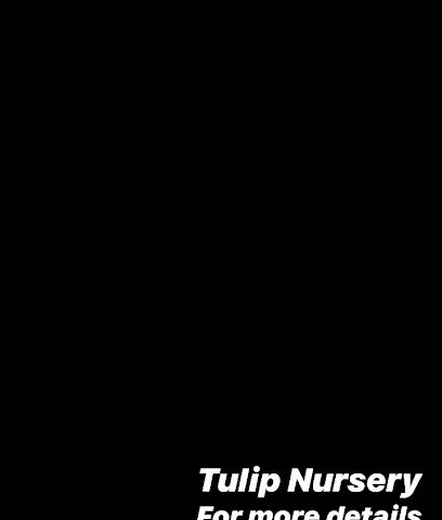 Tulip Nursery حضانة توليب - Fujairah - +971 55 538 4583