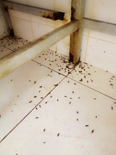 Pest Control Services Ultimate super services - United Arab Emirates|next to Doha Centre - | - Dubai|102 Al Maktoum Rd|Nasser Lootah Real Estate Building