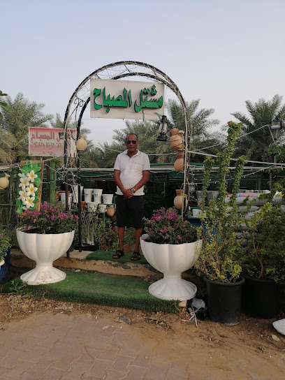Nursery - United Arab Emirates|Hili - Abu Dhabi|7QQH+FGH
