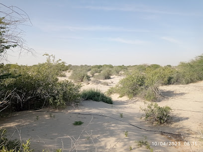 Qasr Salah - Fujairah -