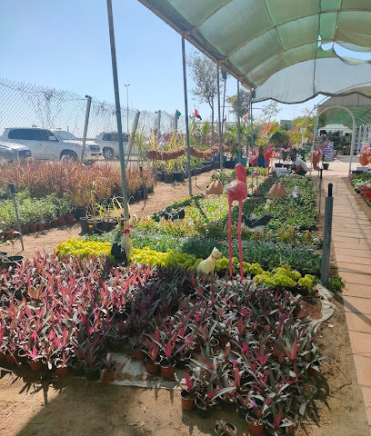 مشتل الخليج - Ras al Khaimah - +971 52 232 5404