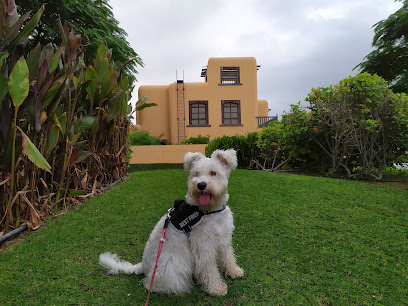 Play Park Area 2 - Ras al Khaimah -