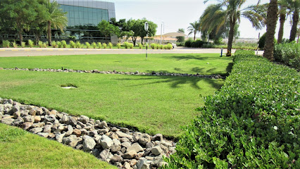 Discovery Landscape & Gardening Services - Dubai - +971 2 555 5219